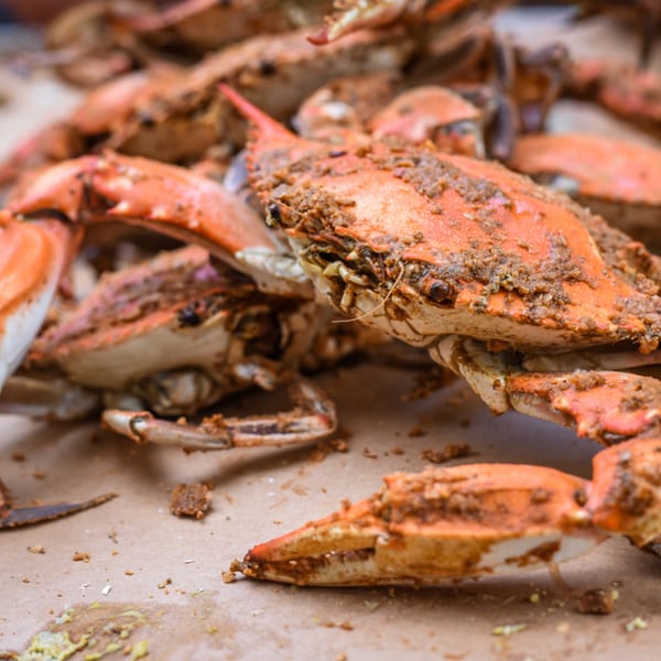 Close-up of several steamed blue crabs, seasoned with spices, on a brown paper surface.
