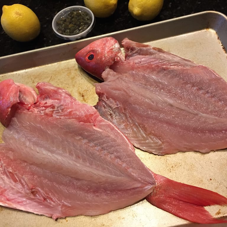 Seafood Favorites Made Fresh